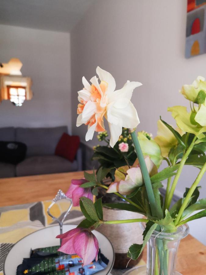 Antico Pozzo Bed and Breakfast Giaveno Eksteriør billede